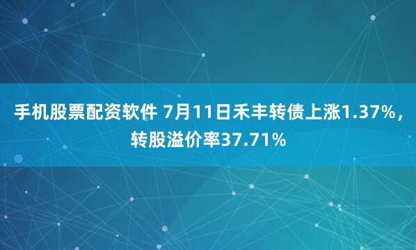 手机股票配资软件 7月11日禾丰转债上涨1.37%，转股溢价率37.71%